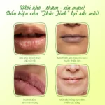 Mặt nạ ngủ môi dưỡng ẩm hồng môi tẩy tế bào hương chanh Care:nel Lime Lip Night Mask 5g - Ảnh 3