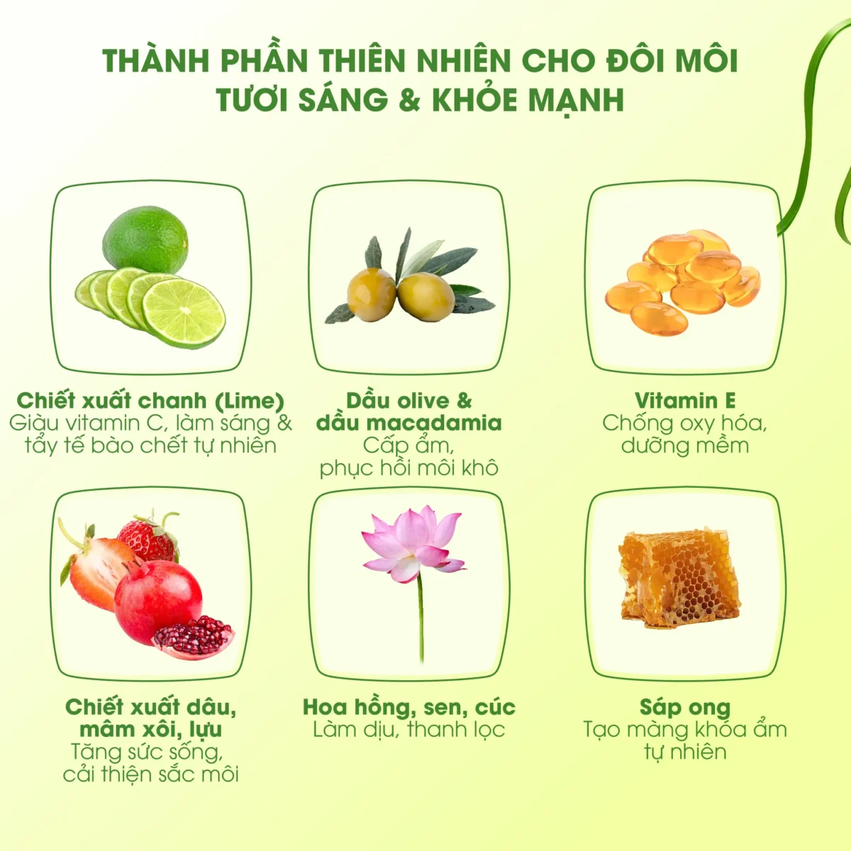 Mặt nạ ngủ môi dưỡng ẩm hồng môi tẩy tế bào hương chanh Care:nel Lime Lip Night Mask 5g - Ảnh 5