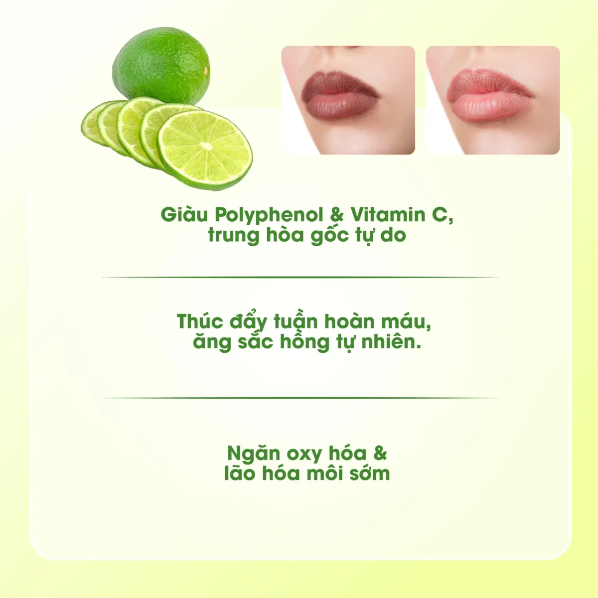 Mặt nạ ngủ môi dưỡng ẩm hồng môi tẩy tế bào hương chanh Care:nel Lime Lip Night Mask 5g - Ảnh 6