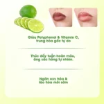 Mặt nạ ngủ môi dưỡng ẩm hồng môi tẩy tế bào hương chanh Care:nel Lime Lip Night Mask 5g - Ảnh 6