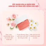 Mặt nạ ngủ môi dưỡng ẩm hồng môi tẩy tế bào hương dâu Care:nel Berry Lip Night Mask 5g - Ảnh 8