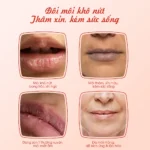 Mặt nạ ngủ môi dưỡng ẩm hồng môi tẩy tế bào hương lựu Carenel Pomegranate Lip Night Mask 23g - Ảnh 3