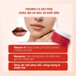 Mặt nạ ngủ môi dưỡng ẩm hồng môi tẩy tế bào hương lựu Carenel Pomegranate Lip Night Mask 23g - Ảnh 7