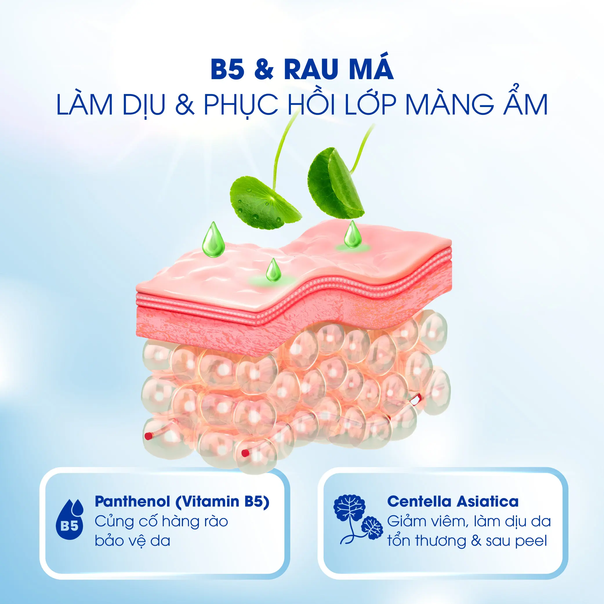 sua rua mat diu nhe sach sau cai thien mun va phuc hoi da carenel cicavia b5 salicylic acid gentle cleanser 06