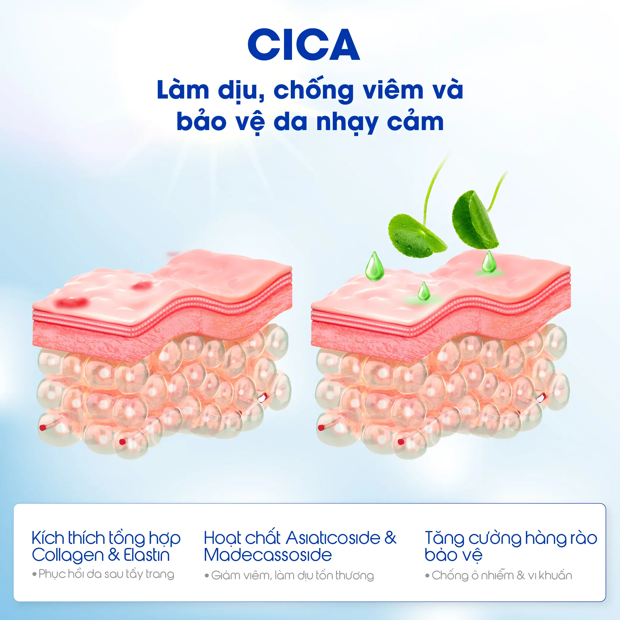 nuoc tay trang lam diu tay sach va phuc hoi cho da nhay cam carenel cicavita b5 aha bha cleansing water 05