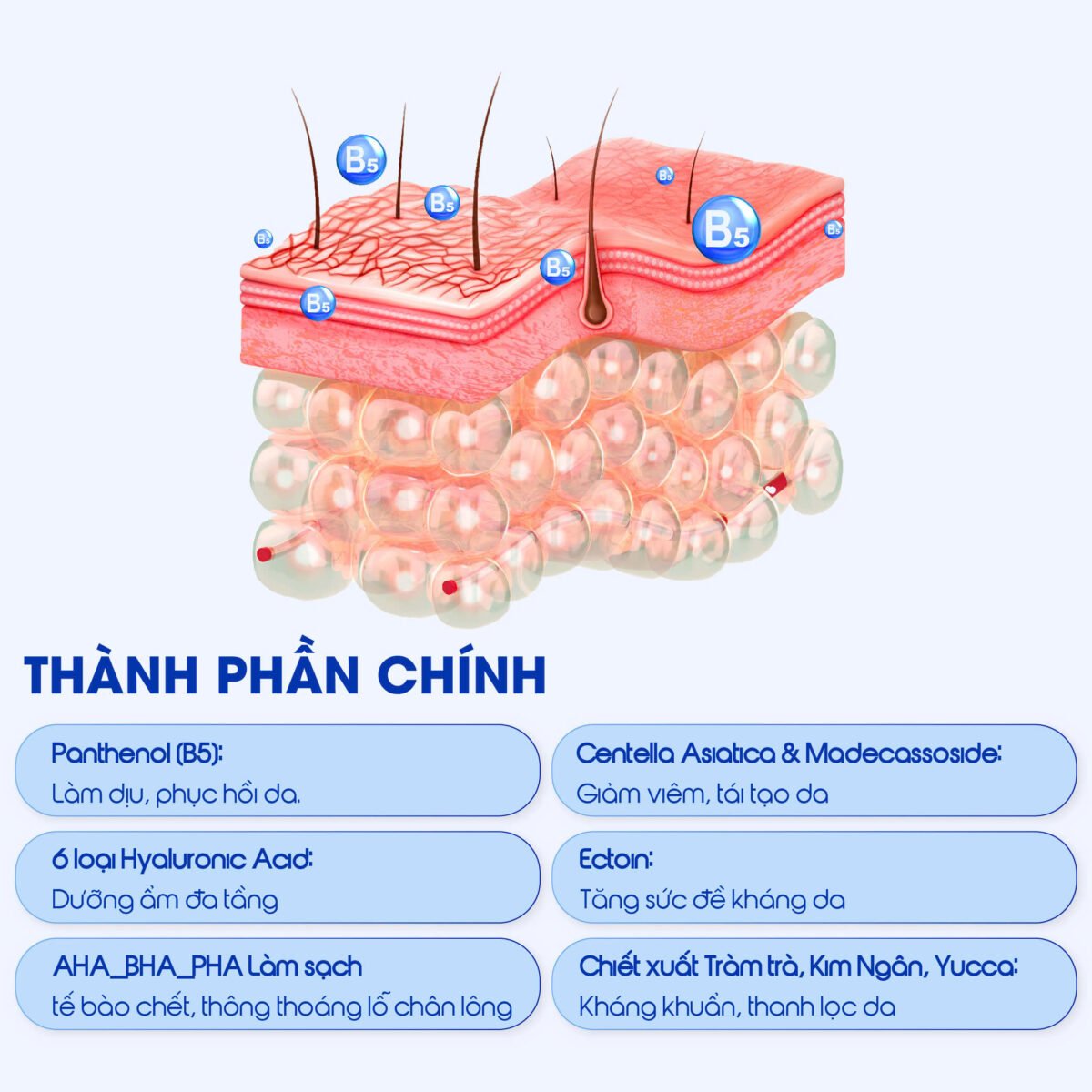 Nước tẩy trang làm dịu tẩy sạch và phục hồi cho da nhạy cảm Carenel Cicavita B5 AHA BHA Cleansing Water 500g - Ảnh 5