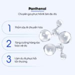 Nước tẩy trang làm dịu tẩy sạch và phục hồi cho da nhạy cảm Carenel Cicavita B5 AHA BHA Cleansing Water 500g - Ảnh 6