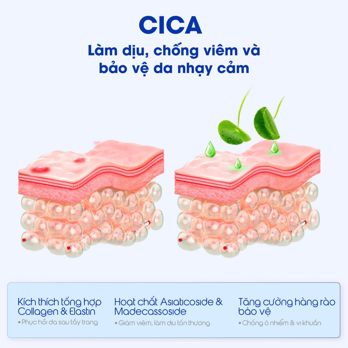 Nước tẩy trang làm dịu tẩy sạch và phục hồi cho da nhạy cảm Carenel Cicavita B5 AHA BHA Cleansing Water 500g - Ảnh 7