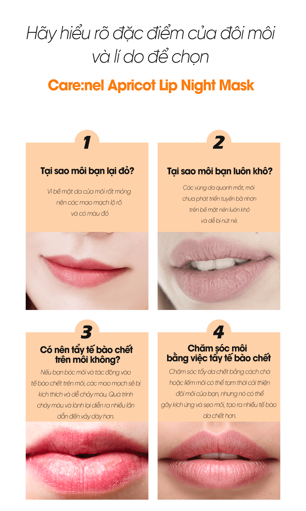 Apricot Lip Night Mask 5g Detail 5