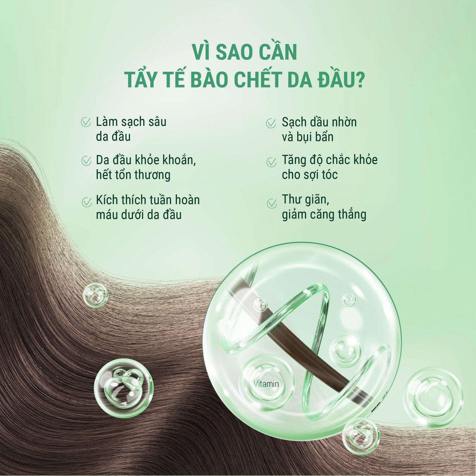 tay te bao dau goi drsera 5