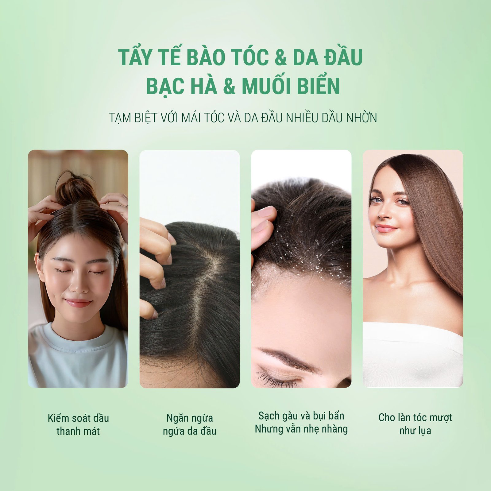 tay te bao dau goi drsera 6