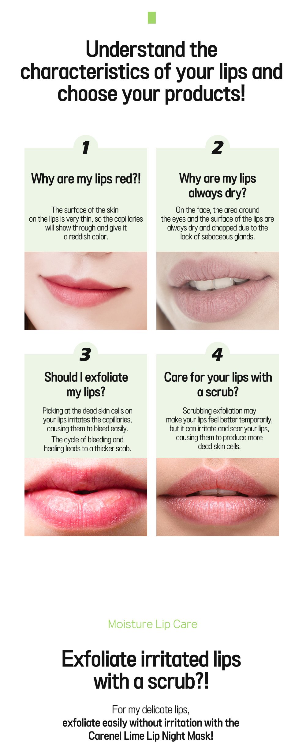 3. Lime Lip Night Mask 5g Detail 1
