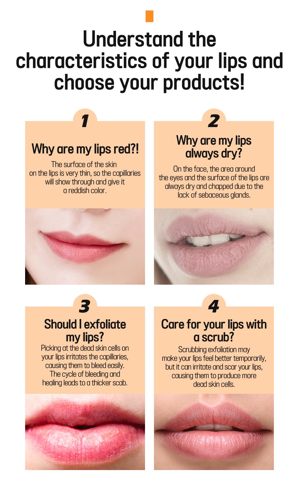 5. Apricot lip night mask 5g Detail En 1