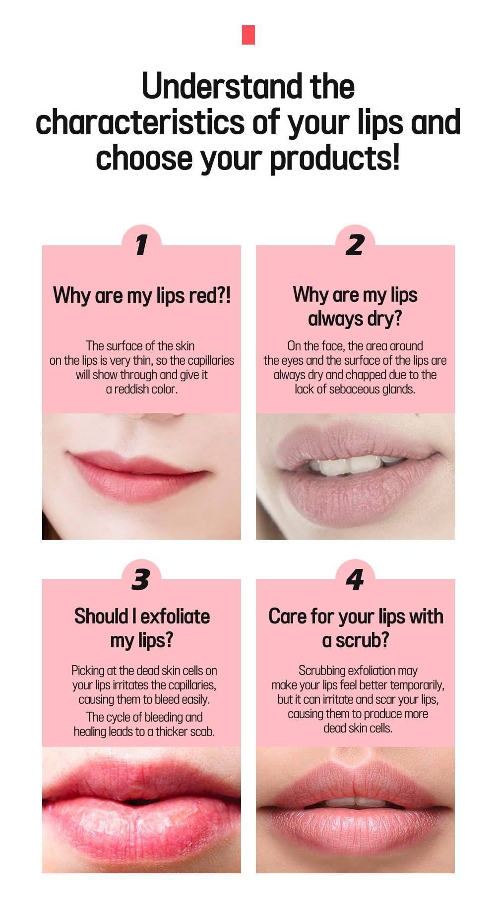 8. Pomegranate Lip Night Mask 5g Detail 1