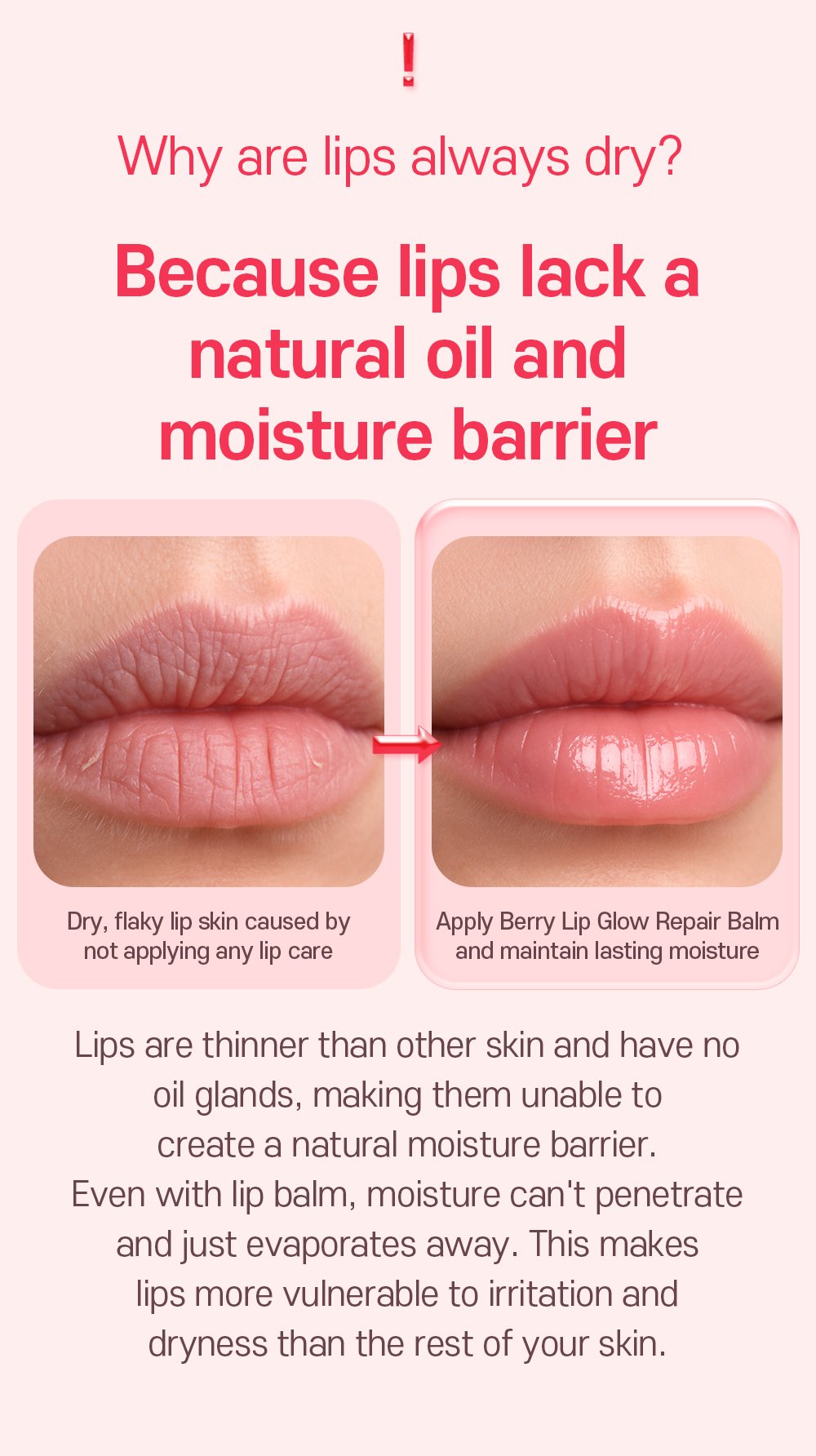 Berry Lip Glow Repair Balm en 06