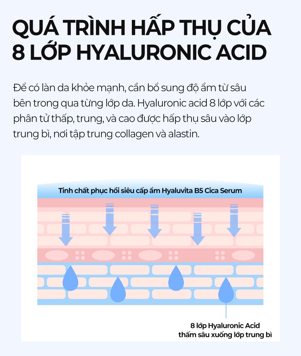 6 Hyaluvita B5 Cica Serum 110ml En