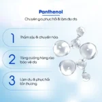 Tinh chất phục hồi da siêu cấp ẩm Carenel Hyaluvita B5 Cica Serum 110ml - Ảnh 7