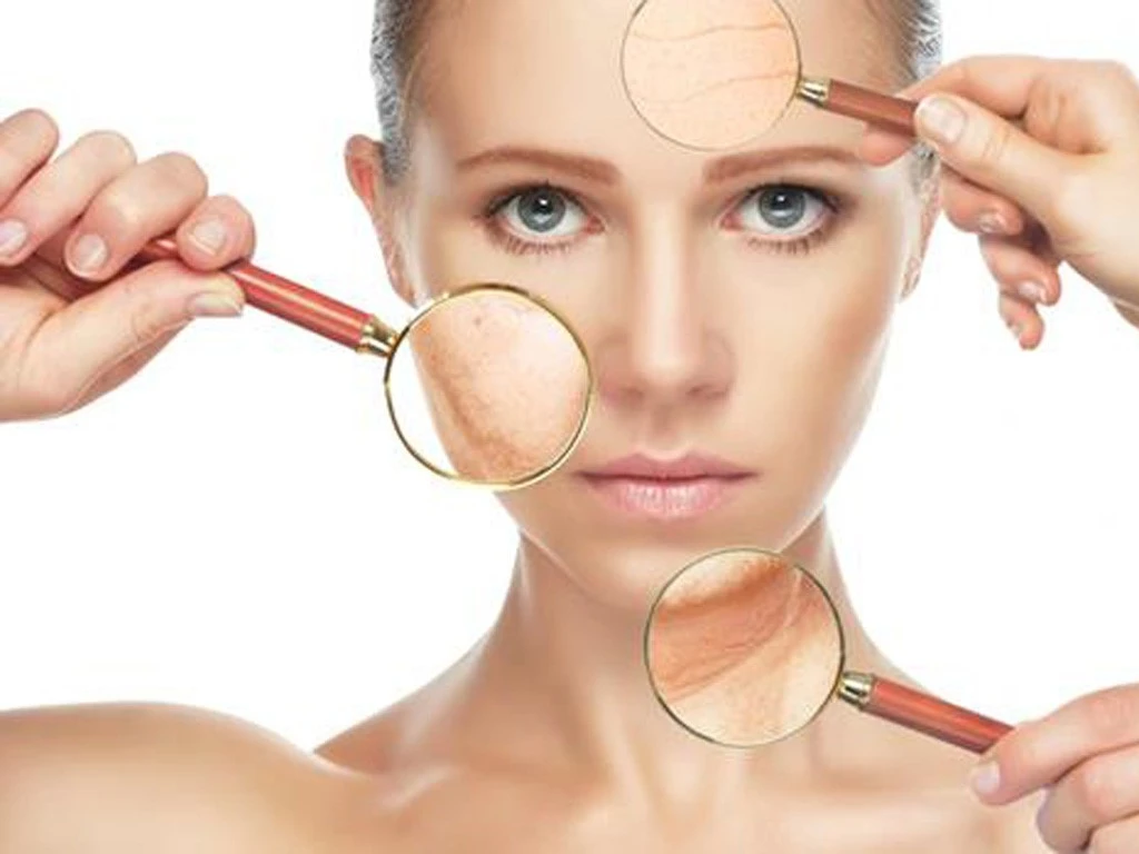 loi ich chong lao hoa tu nam tung nhung tricholoma matsutake 2