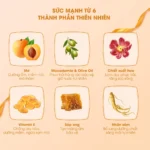 Mặt nạ ngủ môi mơ dưỡng ẩm tẩy tế bào Carenel Apricot Lip Night Mask 23g - Ảnh 5