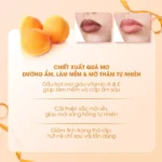 Mặt nạ ngủ môi mơ dưỡng ẩm tẩy tế bào Carenel Apricot Lip Night Mask 23g - Ảnh 6