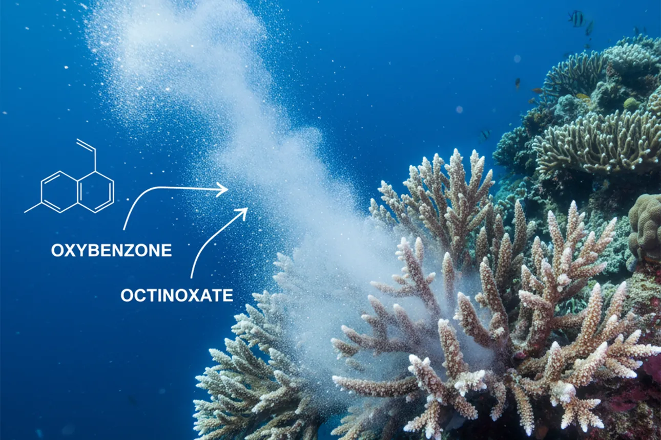 cach chon san pham skincare than thien voi ran san ho 2