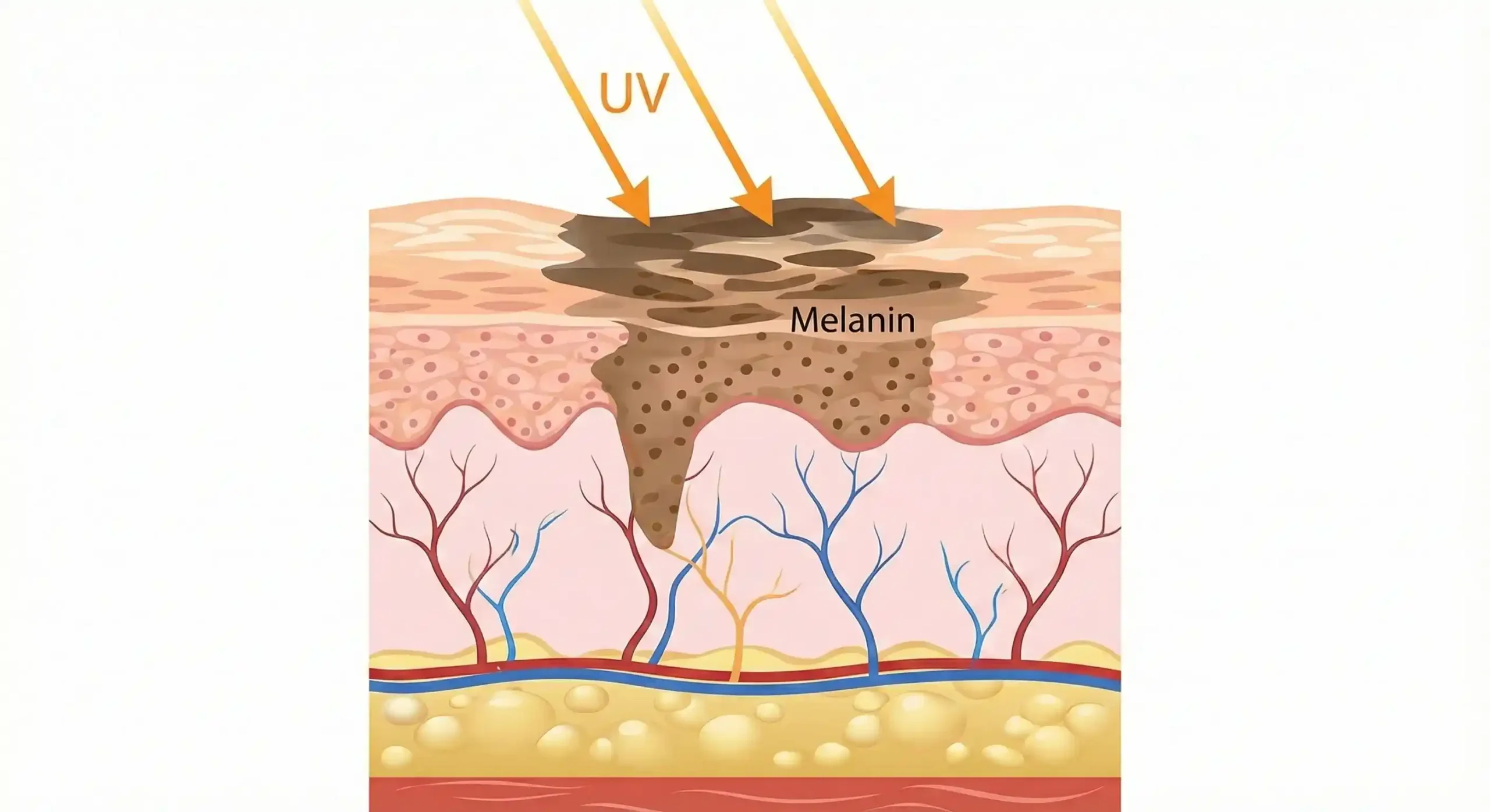 chong dom nau va sam nam tu trong ra ngoai 2 scaled