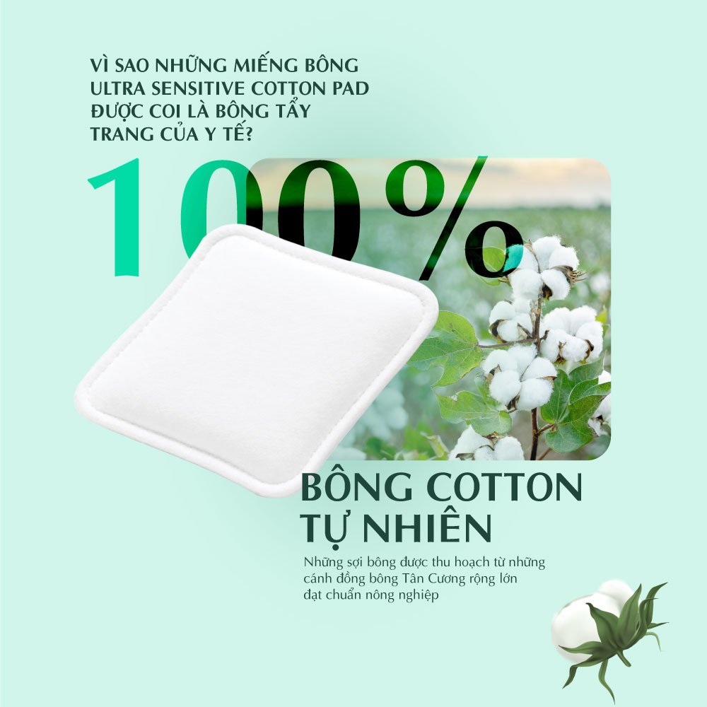 hinh website.jpg2
