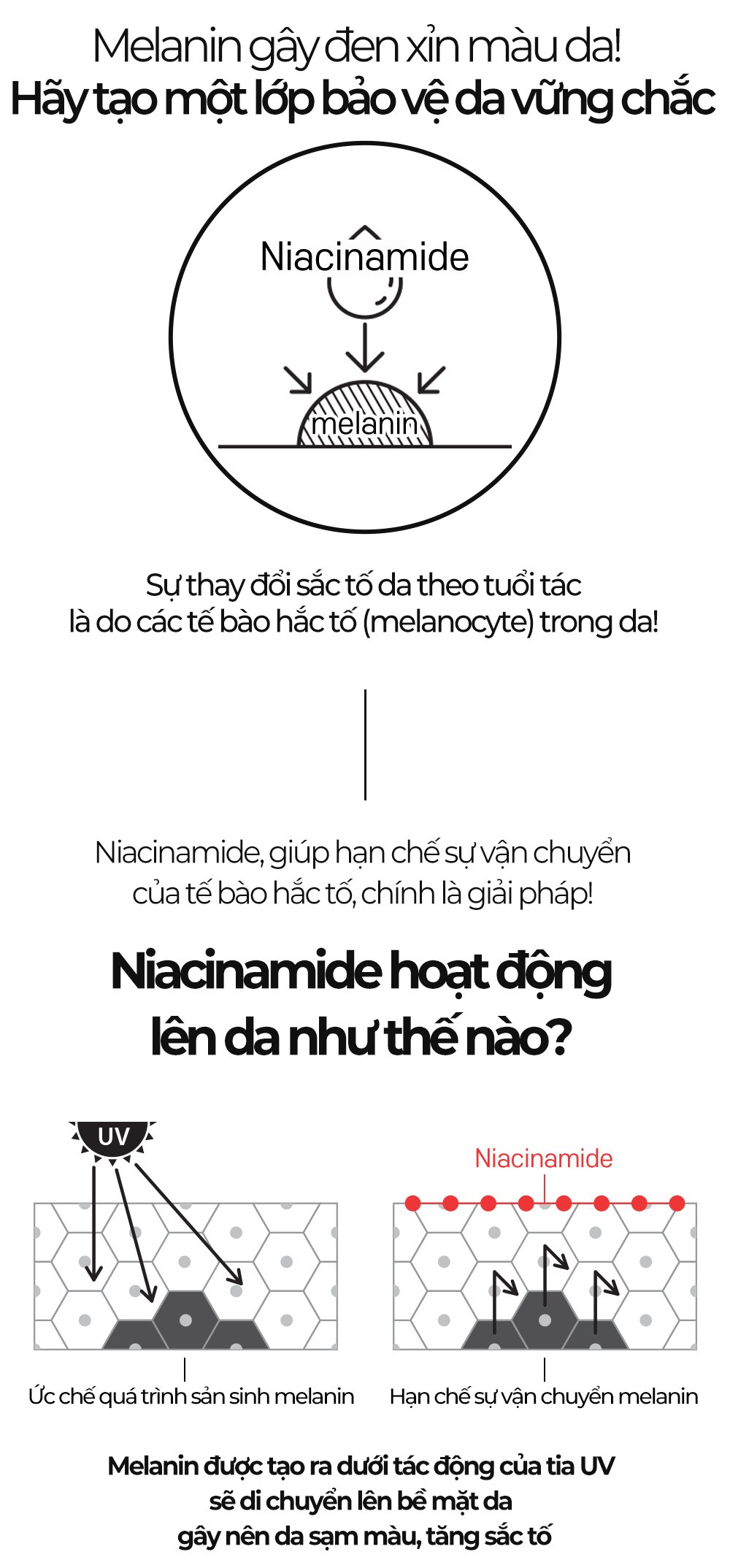 Niacinamide Zinc Serum 50ml 6
